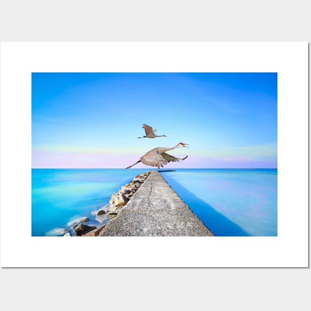 Sandhill Cranes Migrating Inland Wall Art by lauradyoung